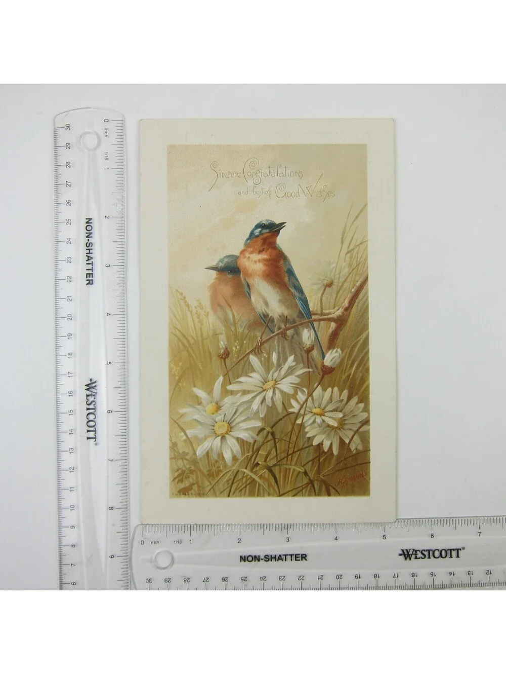 Victorian Greeting Card Congratulations Blue Birds & Daisy Flowers Antique 1884